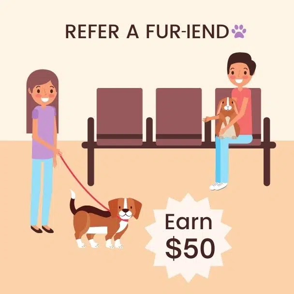 fur iends graphic